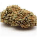 Шишки AK47 (Гидропоника, Бошка) VHQ в Черняховске Шишки AK47 (Гидропоника, Бошка) VHQ в Черняховске